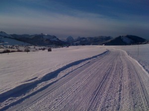 Schwedentritt